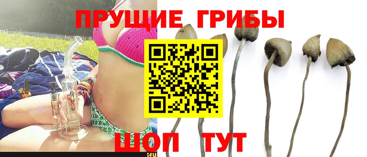 Галлюциногенные грибы GOLDEN TEACHER  Галлюциногенные грибы прущие грибы  Вход с VPN  Орск 